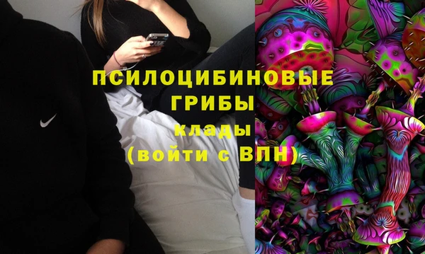 мдпв Армянск