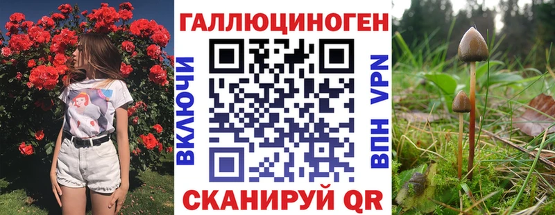 мориарти Telegram  Завитинск  Галлюциногенные грибы ЛСД 